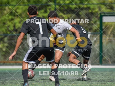 Detalhes da foto #2320589