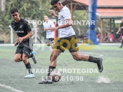 Detalhes da foto #7705582