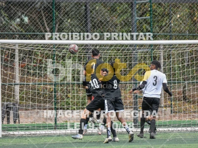 Detalhes da foto #6214340