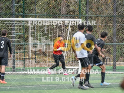 Detalhes da foto #9896358