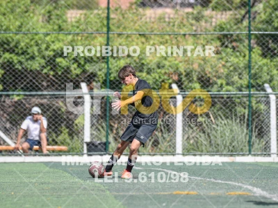 Detalhes da foto #7046708