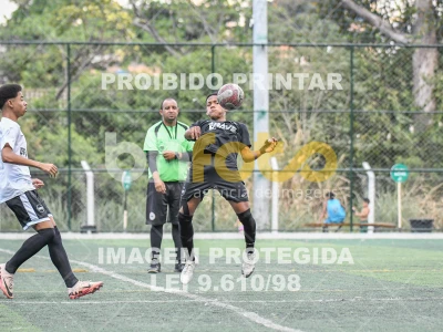 Detalhes da foto #3795050