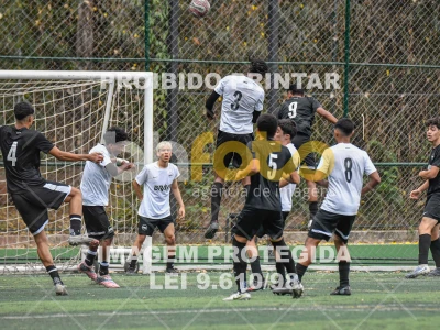 Detalhes da foto #9965829