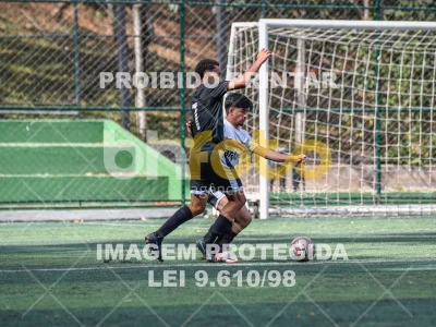 Detalhes da foto #4826958