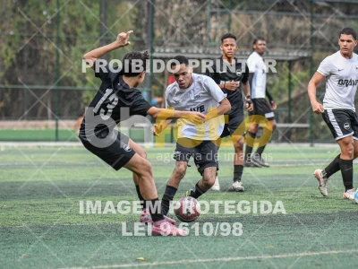 Detalhes da foto #7971690