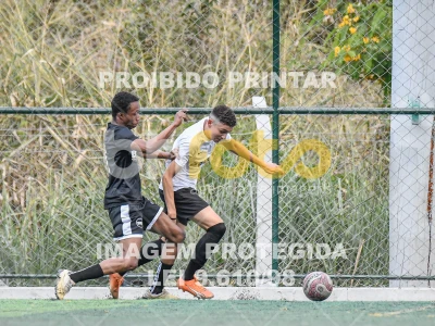 Detalhes da foto #7651234