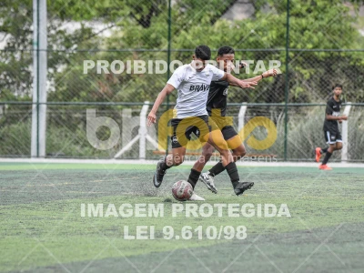 Detalhes da foto #4494842