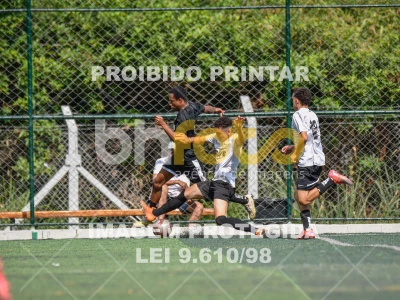 Detalhes da foto #6682596
