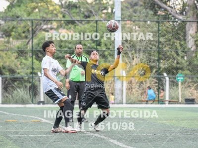 Detalhes da foto #5646534
