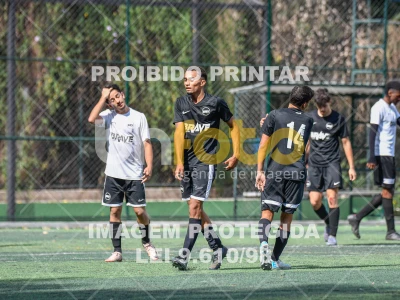 Detalhes da foto #8505861