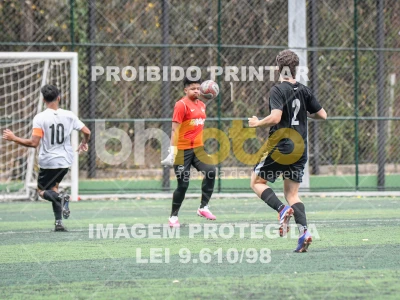 Detalhes da foto #4628578
