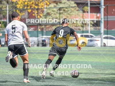 Detalhes da foto #5278889