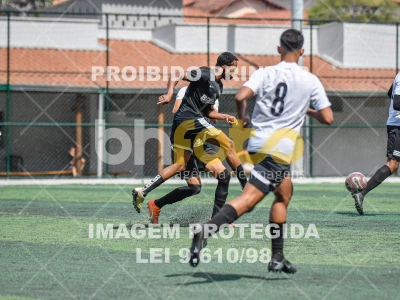 Detalhes da foto #8229220