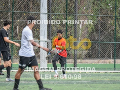 Detalhes da foto #4254555