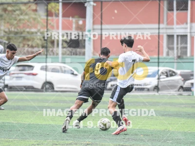 Detalhes da foto #8373265