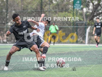 Detalhes da foto #1084665