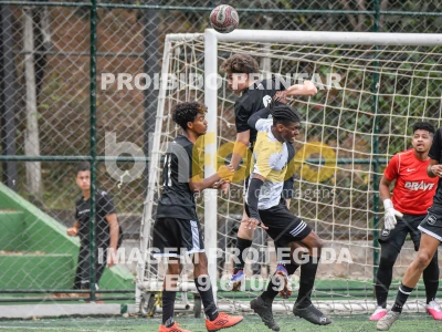 Detalhes da foto #9869120