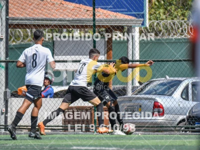 Detalhes da foto #2507847