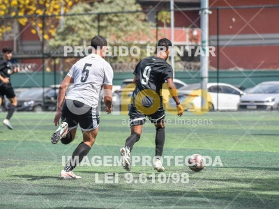 Detalhes da foto #8274161