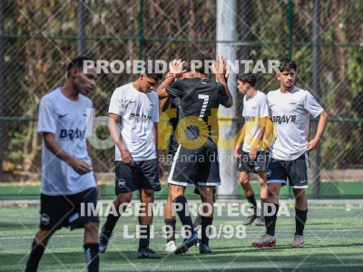 Detalhes da foto #4491263