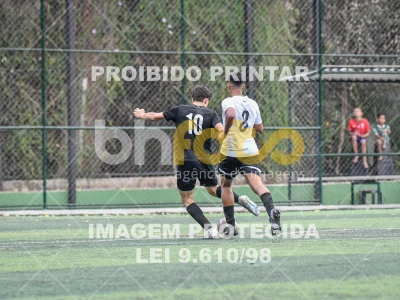 Detalhes da foto #8664819