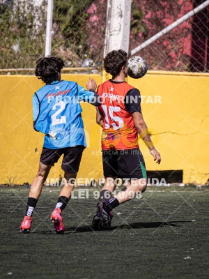 Detalhes da foto #5044299