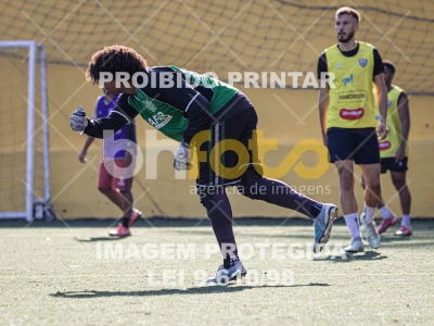 Detalhes da foto #7325142