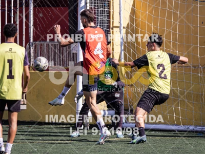 Detalhes da foto #4378409