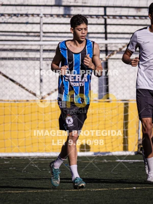 Detalhes da foto #4620184