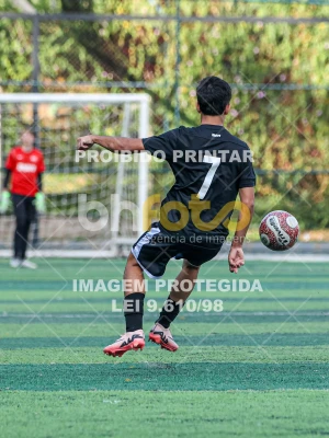 Detalhes da foto #3095465