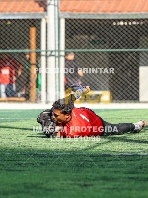 Detalhes da foto #9473442