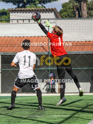 Detalhes da foto #3875812