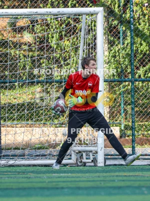 Detalhes da foto #7237006