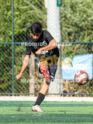 Detalhes da foto #4327228