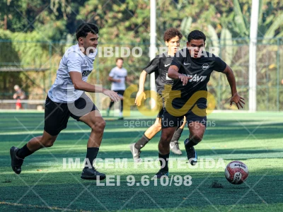 Detalhes da foto #7400404