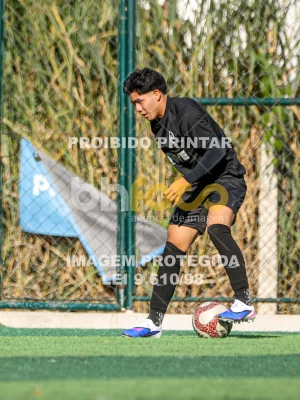 Detalhes da foto #5068455
