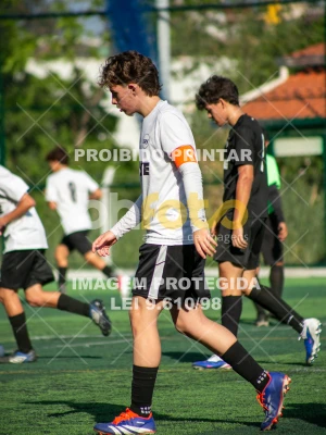 Detalhes da foto #8593228
