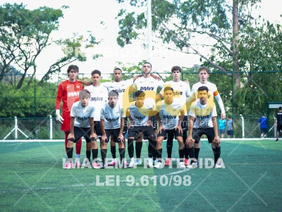 Detalhes da foto #8480336