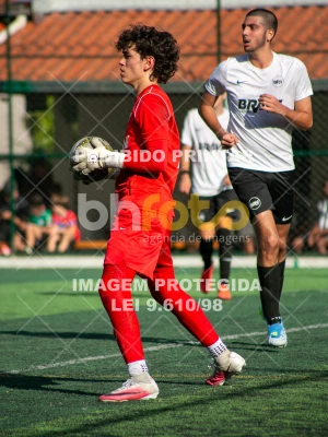 Detalhes da foto #4188285