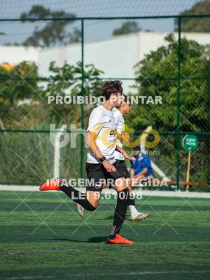 Detalhes da foto #8900486
