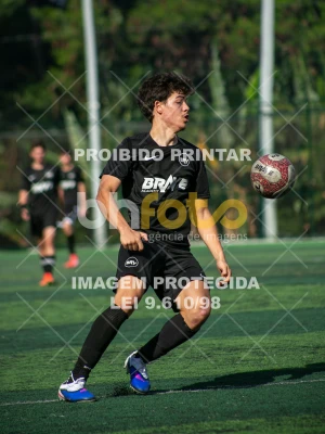 Detalhes da foto #3303618