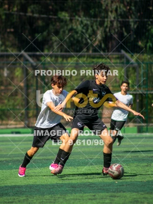 Detalhes da foto #5681367
