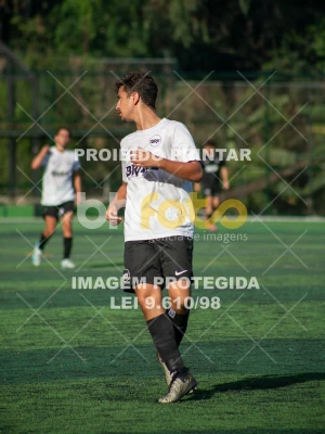 Detalhes da foto #6511450