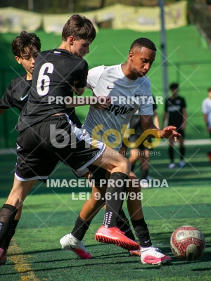 Detalhes da foto #6673117