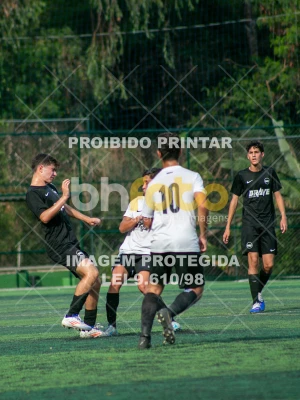 Detalhes da foto #4521717