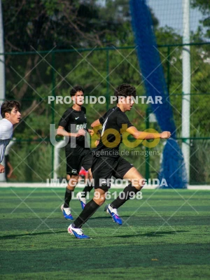 Detalhes da foto #7146080