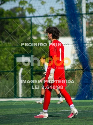 Detalhes da foto #8299614