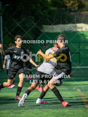 Detalhes da foto #4375413