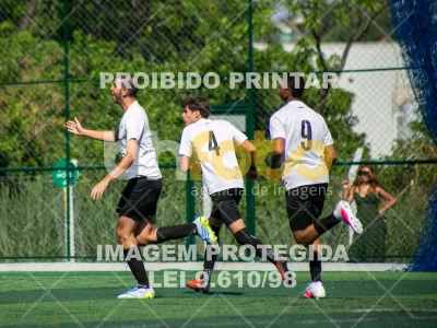 Detalhes da foto #3529377