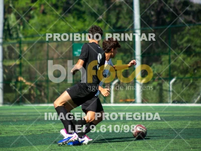Detalhes da foto #7989313